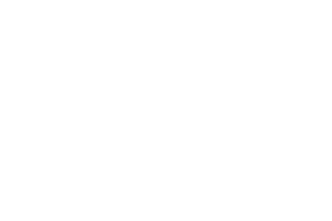 seimens-bw-logo